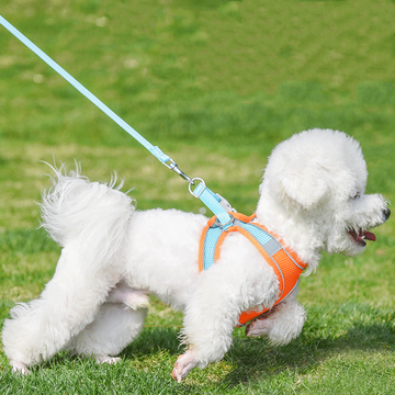 Pet Harness Leash Set
