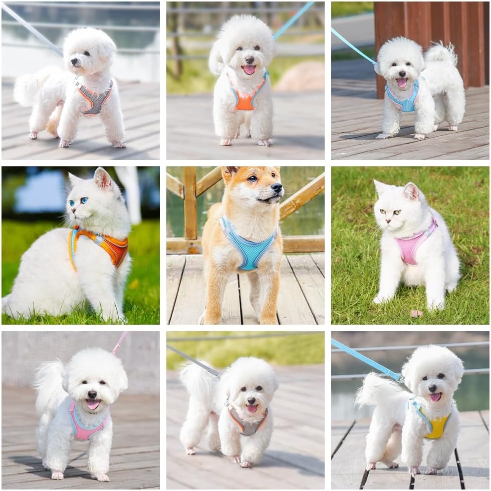 Pet Harness Leash Set