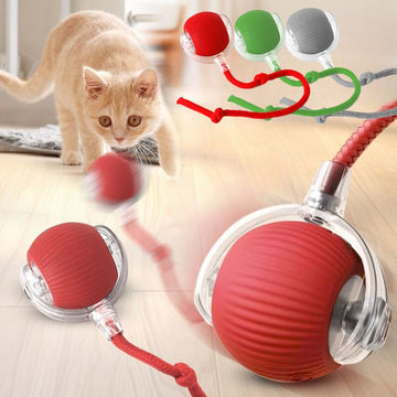 Interactive Cat Ball Toy