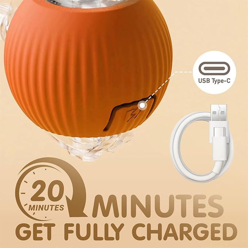 Interactive Cat Ball Toy