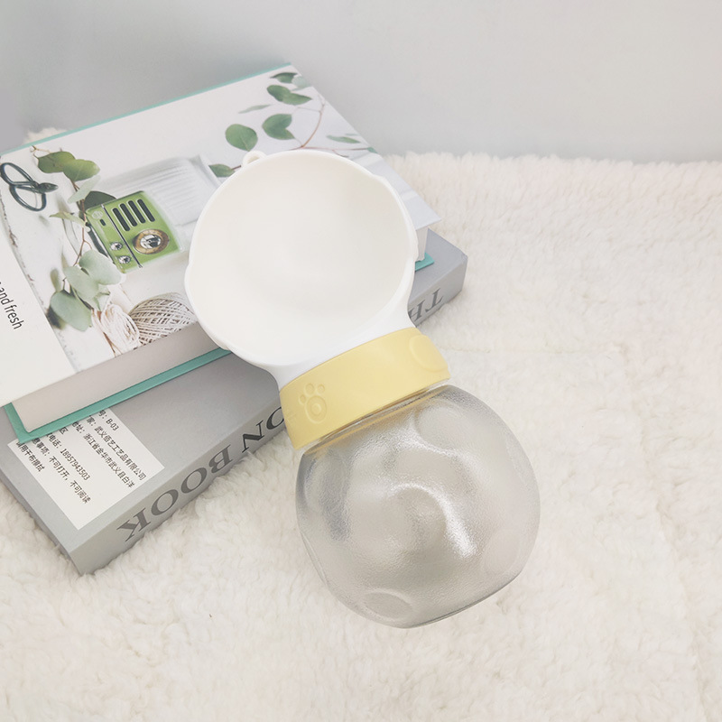 Portable Water Bottle
